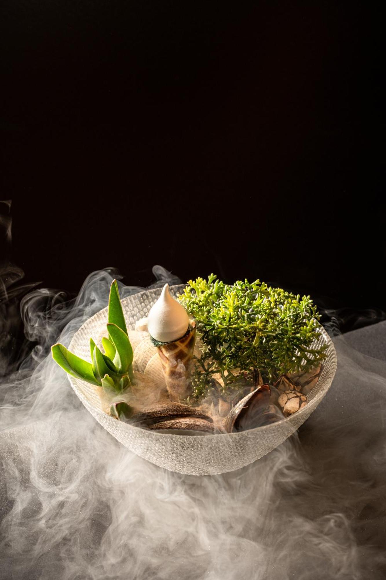 Altis Belem Hotel & Spa, A Member Of Design Hotels Lisboa Kültér fotó A terrarium